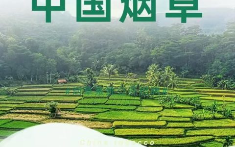 山东省烟草专卖局(公司)现公开招聘2025年高校毕业生208名