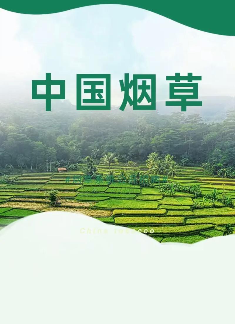 山东省烟草专卖局(公司)现公开招聘2025年高校毕业生208名