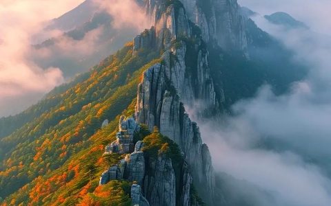 九江市庐山文化旅游投资控股集团有限公司面向社会公开招聘工作人员公告