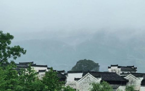 2026年安徽省选调生招录普通高校全日制大学生700名公告