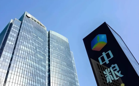 中粮集团有限公司2026年春季招聘公告